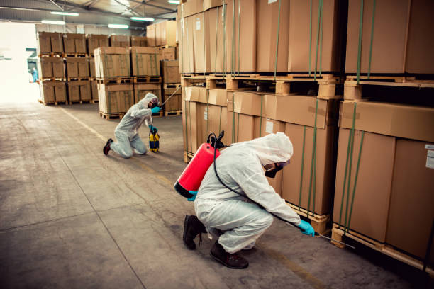 Best Affordable Pest Control Services  in Scottdale, GA