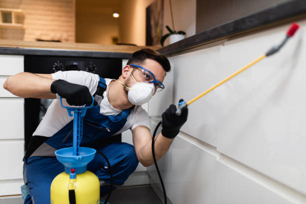 Best Emergency Pest Control  in Scottdale, GA