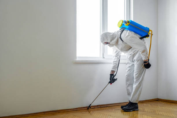 Best Cockroach Control Services  in Scottdale, GA