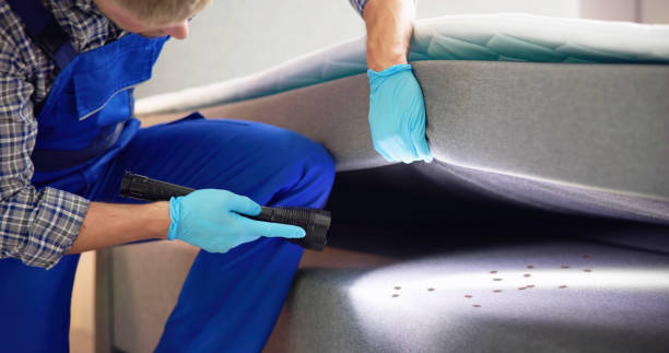 Best Emergency Pest Control  in Scottdale, GA