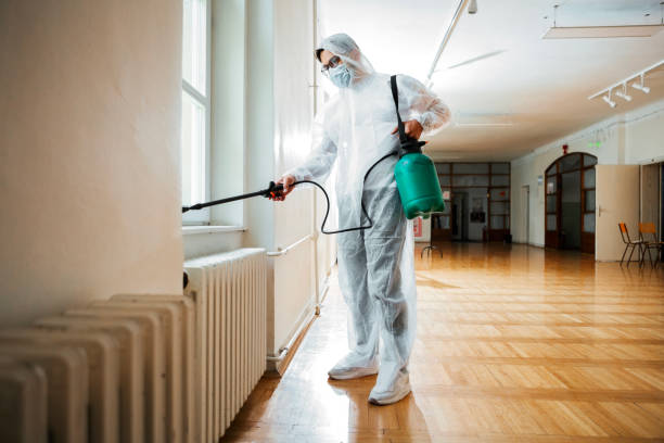 Best Affordable Pest Control Services  in Scottdale, GA