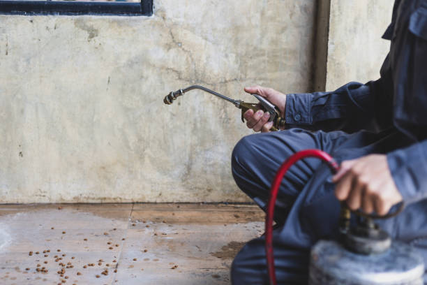 Best Mosquito Control Services  in Scottdale, GA